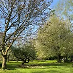 Bed & Breakfast D'hotes Manoir Du Chene