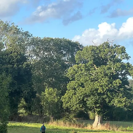 D'hotes Manoir Du Chene Bed & Breakfast *