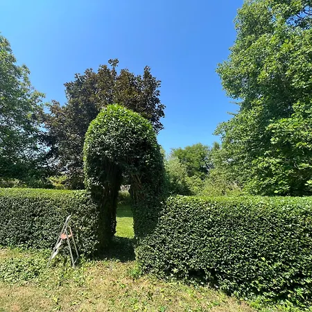 Bed & Breakfast D'hotes Manoir Du Chene Nonant