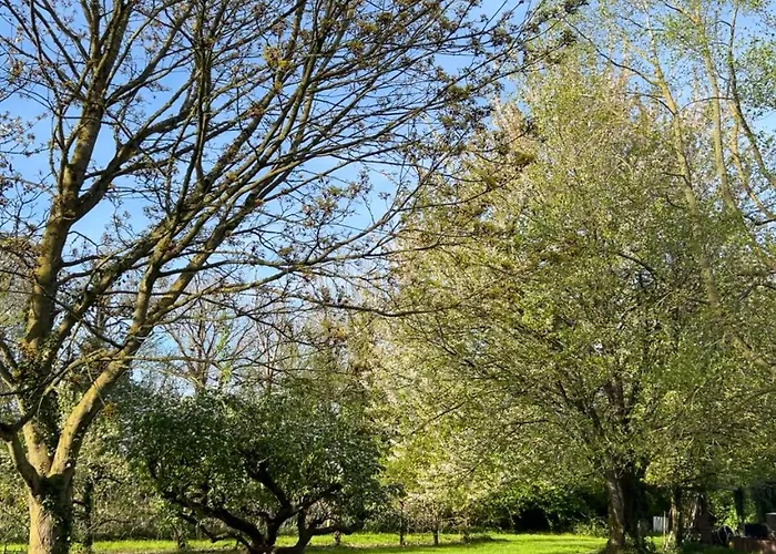 Bed & Breakfast D'hotes Manoir Du Chene