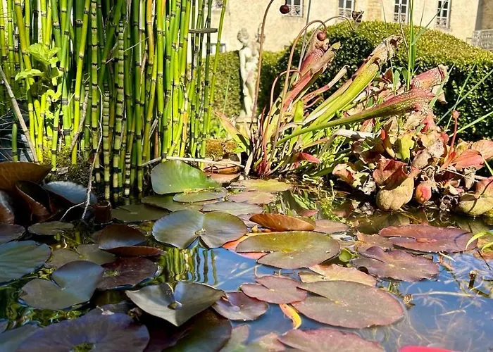 D'hotes Manoir Du Chene Bed & Breakfast *