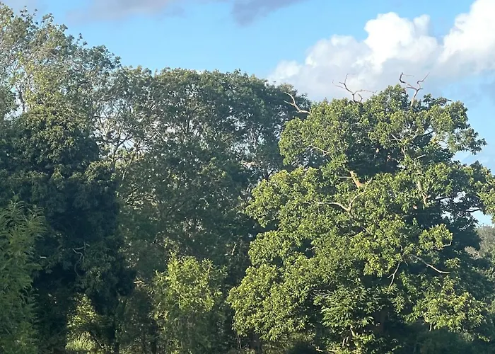 D'hotes Manoir Du Chene Bed & Breakfast *