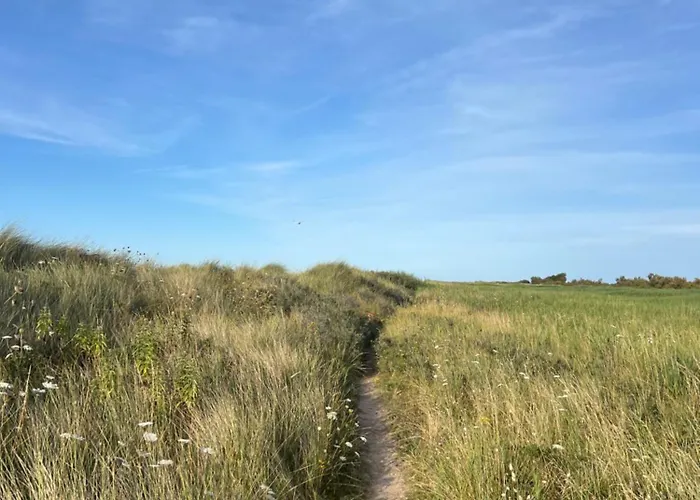 Bed & Breakfast D'hotes Manoir Du Chene