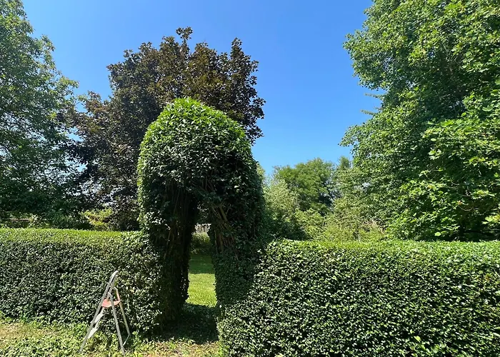 Bed & Breakfast D'hotes Manoir Du Chene Nonant